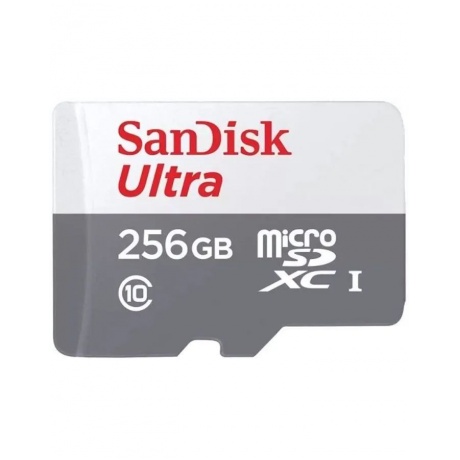 Карта памяти SanDisk Ultra microSDXC 256GB 100MB/s SDSQUNR-256G-GN3MN - фото 1