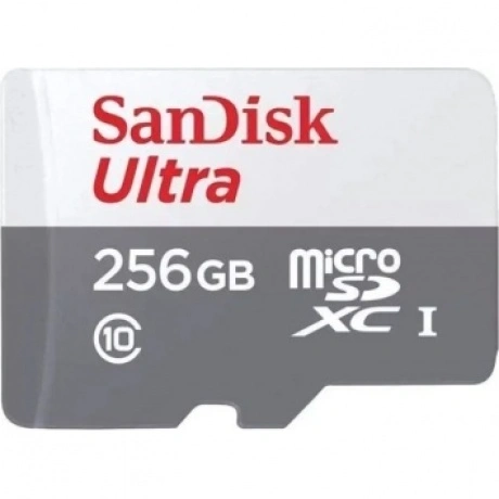 Карта памяти SanDisk Ultra microSDXC 256GB 100MB/s SDSQUNR-256G-...